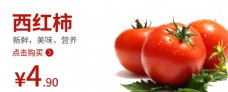 挂画西红柿食品海报蔬菜图片