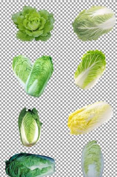 蔬菜营养大白菜图片