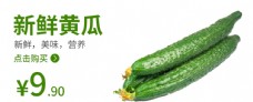 青瓜黄瓜食品海报蔬菜图片