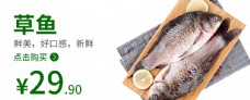 草鱼鱼草鱼海报食品类图片