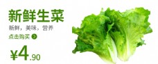 商品生菜食品海报蔬菜蔬菜海报图片