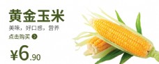 米黄黄金玉米食品海报玉米海报图片