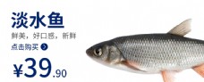 鱼海鲜鱼海报食品类图片