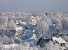 冬天冬季雪景图片
