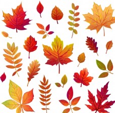 树木矢量秋季叶子图片