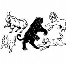 狮虎豹卡通手绘狮子豹子老虎图片