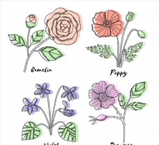 茶彩绘带名字花卉图片