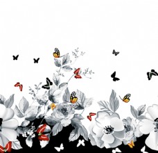蝴蝶花手绘花黑白花图片