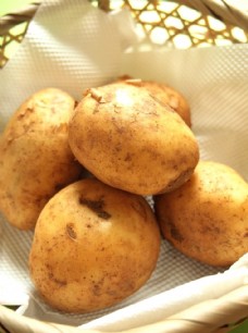 马铃薯大土豆图片