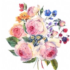 彩绘手绘水彩花朵花束png素材图片