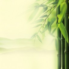 中式竹子主图图片