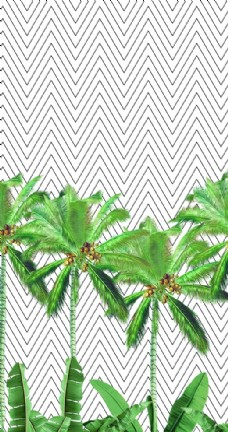 花纹无缝椰子树图片