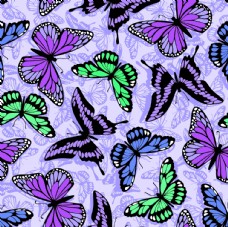 墙纸蝴蝶图片