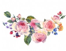 唯美手绘水彩花朵png素材图片