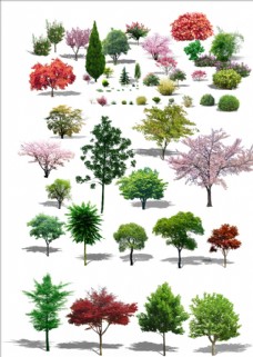 PSD素材树素材卡通树树木大树图片