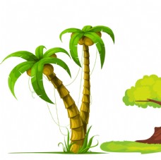 木材椰子树图片
