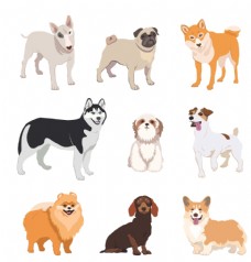 卡通狗狗DOG动物卡通图片