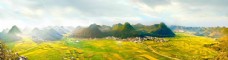 自然风光图片金色秋天稻田风景图片