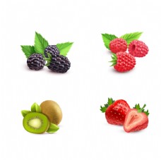图片素材矢量水果猕猴桃草莓图片