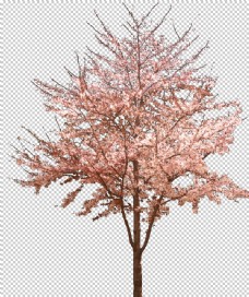 樱桃园樱花装饰素材图片