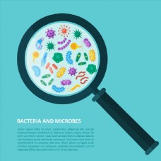 SPA插图放大镜下的细菌插图图片