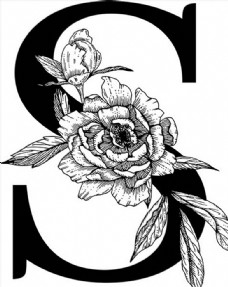 字体线描花朵装饰的字母图片