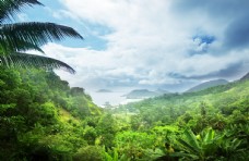 景观水景热带雨林图片