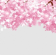 春季背景樱花装饰图片