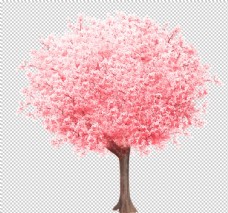 樱桃展架樱花装饰素材图片