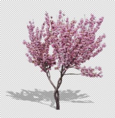 春天海报樱花装饰素材图片