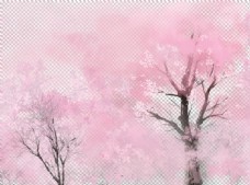 樱桃园樱花素材图片