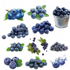 水果展板蓝莓图片