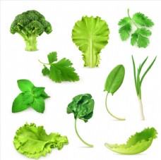 绿色叶子青菜图形标识图片