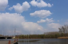 树木河水白云蓝天图片