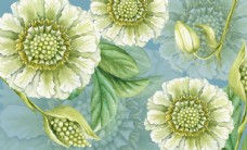 欧式花纹背景手绘植物花卉图片