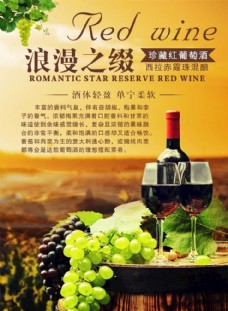 包装设计葡萄酒图片