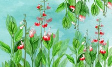 欧式花纹背景手绘植物花卉图片
