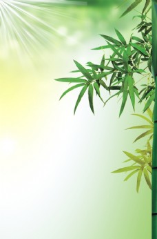 绿背景竹子背景海报图片