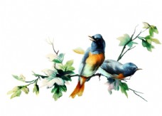 爱上水彩树枝上的鸟图片