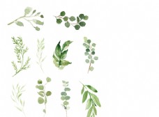 彩绘森系绿植水彩手绘元素图片