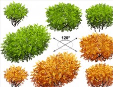 树木矮树丛设计矢量图片