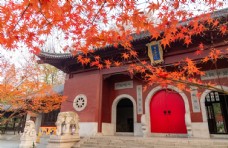 寺庙枫叶秋季旅游旅行背景素材图片