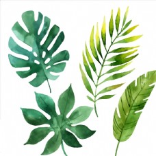 绿背景手绘绿色叶子png素材图片