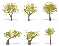 树木水彩树图片