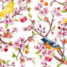 数码桃树花鸟儿图片