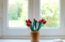 绿植绿萝植物窗台背景素材图片