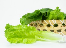 其他生物生菜蔬菜配菜食材背景海报素材图片