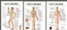 高清海报人体经穴与病症对照片图片