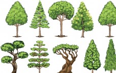 树木卡通景观树图片