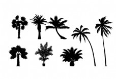 树木手绘热带树图片